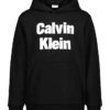Boys Bold Logo Hoodie