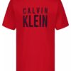 Boys Logo Graphic Classic T-Shirt
