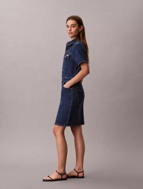 Denim Mini Trucker Dress