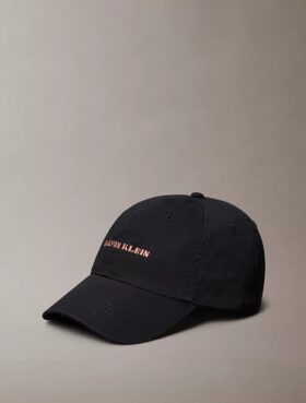 Embroidered Graphic Logo Cap