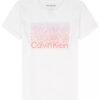 Girls Ombre Logo Graphic Classic T-Shirt Girls Ombre Logo Graphic Classic T-Shirt