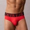 Intense Power Micro 3-Pack Hip Brief Intense Power Micro 3-Pack Hip Brief