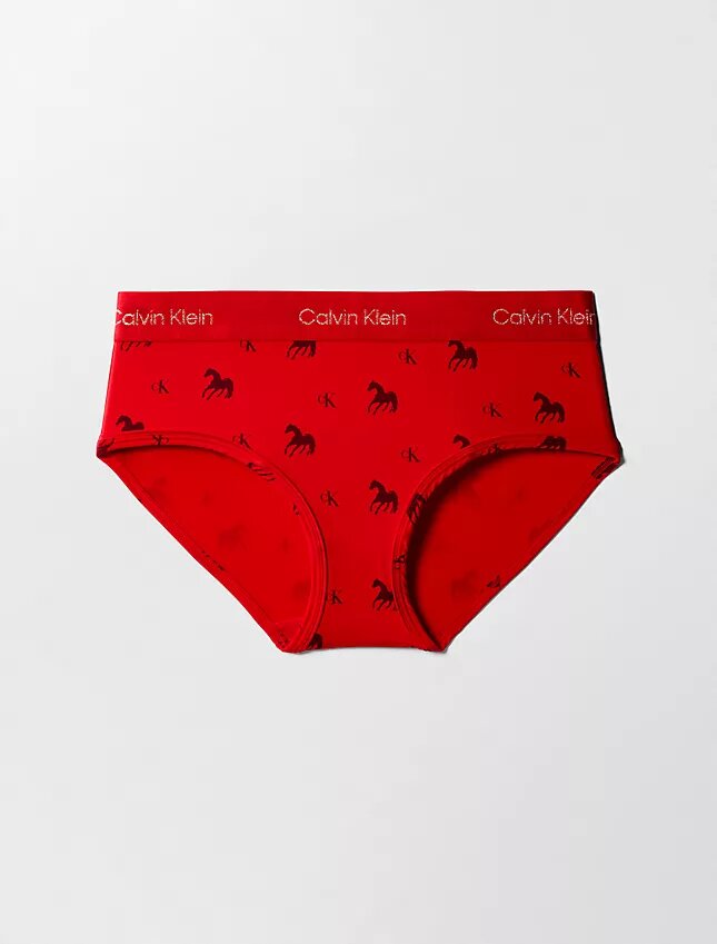 Lunar New Year Hipster Lunar New Year Hipster