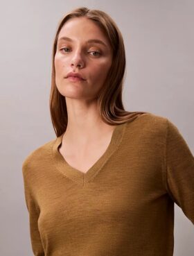 Merino Wool V-Neck Sweater