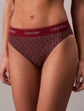 Modern Logo Swim Bikini Bottom